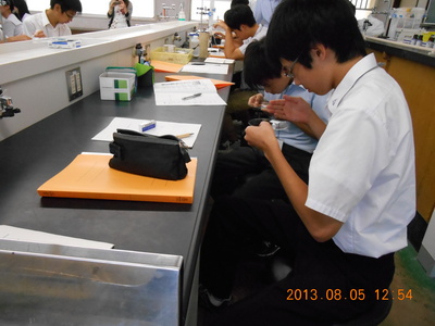 写真３