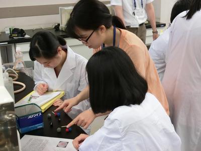 写真７