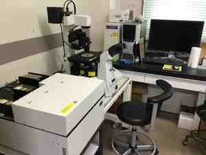 共焦点レーザー顕微鏡（ニコン C1si）