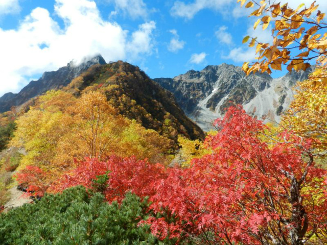 穂高岳紅葉1