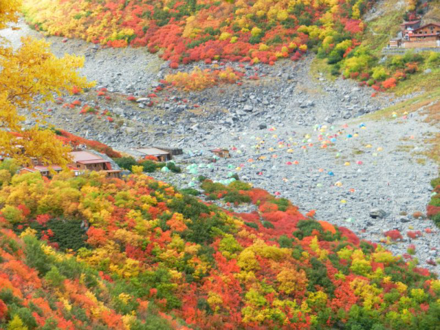穂高岳紅葉2