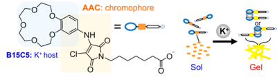 画像2.png