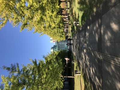 高知化学シンポジウム2022