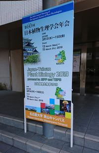 植生