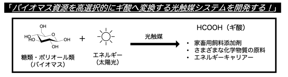 ギ酸（基盤研究C）