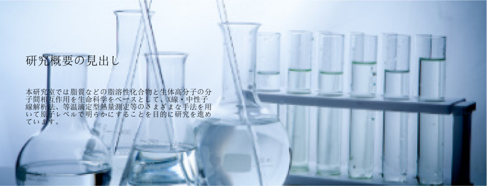 国立大学法人　高知大学理工学部化学生命理工学科　　杉山成研究室