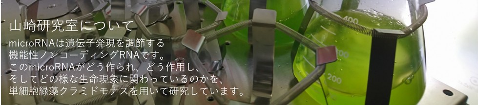 国立大学法人　高知大学理工学部山崎研究室