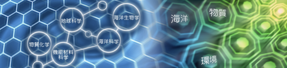 国立大学法人複合領域科学部門
