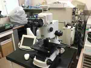 ユニバーサルズーム顕微鏡