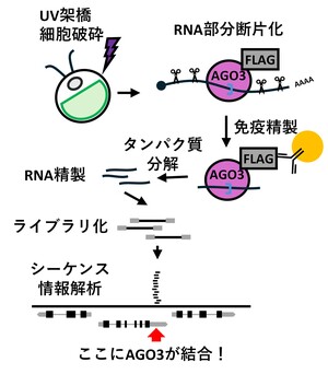 画像1.jpg