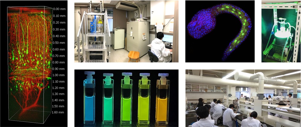 国立大学法人　高知大学理工学部化学生命理工学科