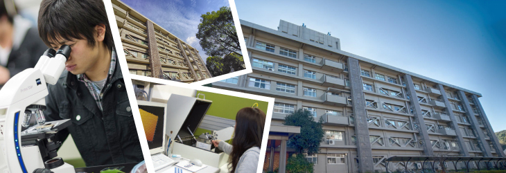 国立大学法人高知大学理工学部