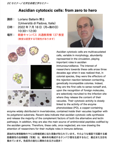 スクリーンショット 2023-03-09 16.59.37.png