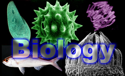 生物科学科