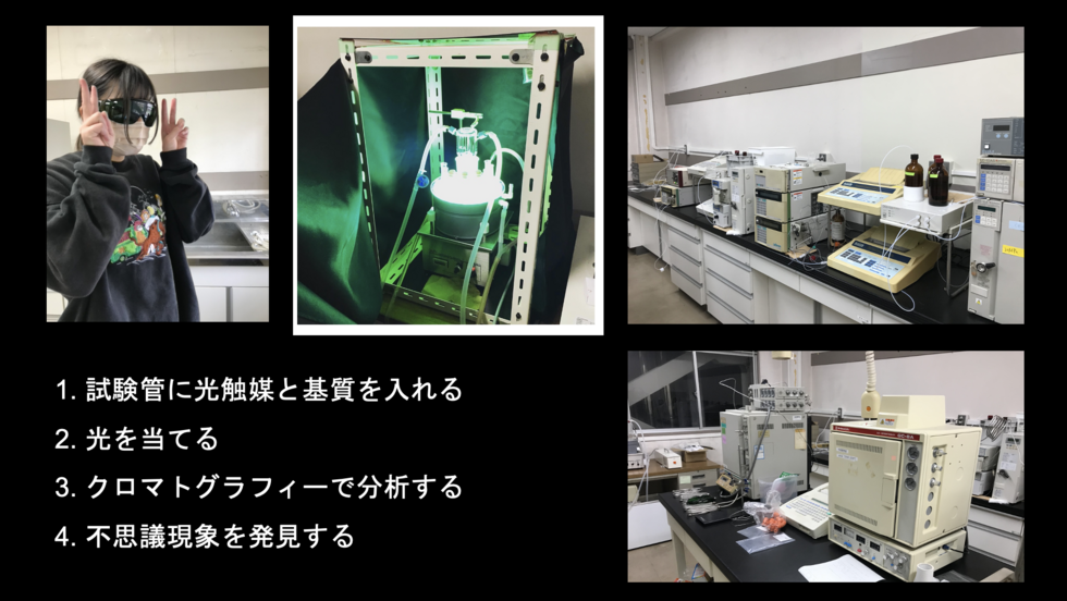 実験の進め方