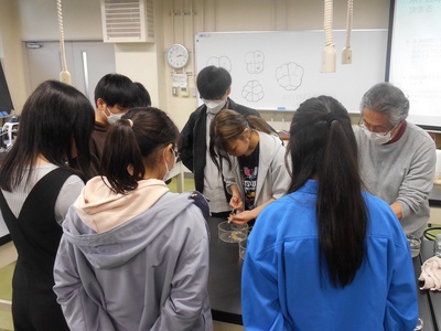 写真１