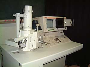 SEM