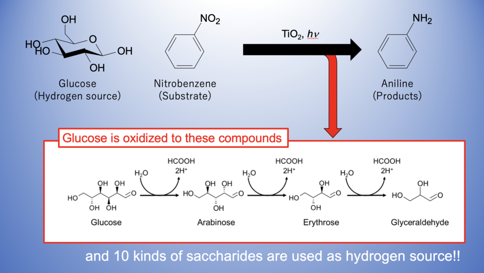 NB-Saccharides