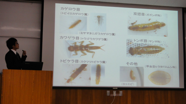 みっちぇる