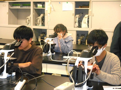 写真３