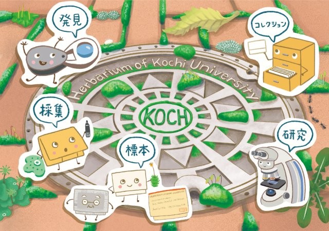 標本庫KOCHイラスト_最小