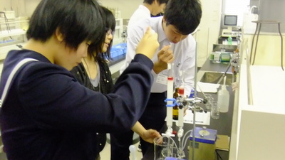 写真２