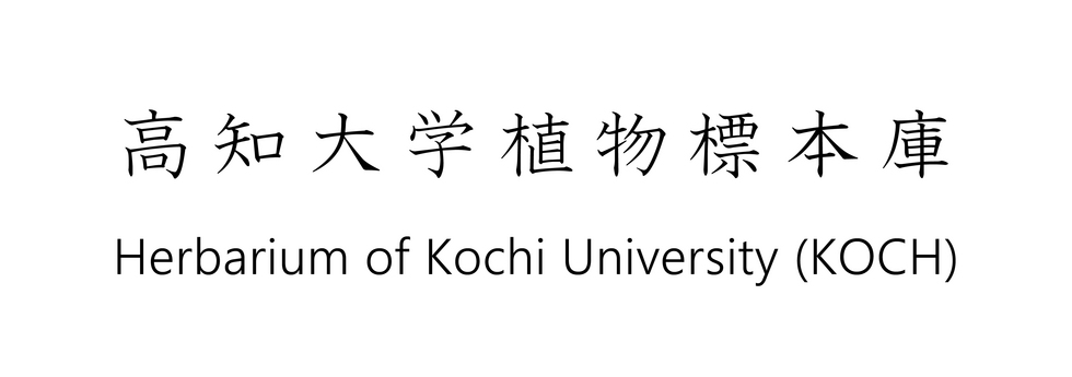 ロゴタイプ