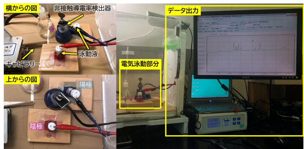 キャピラリー電気泳動