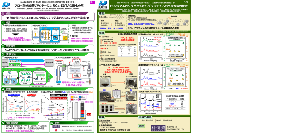 若手セミナー