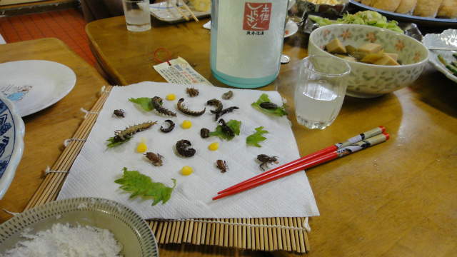 水生昆虫食