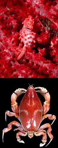 生物の世界と土佐の自然